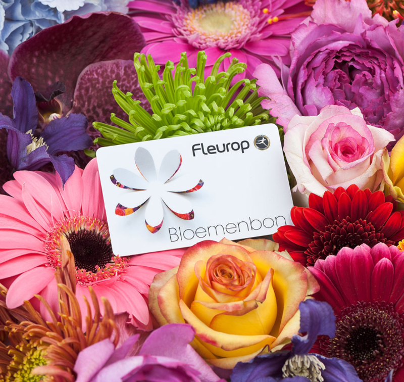 Ghout Webshop - iDeal betalingen accepteren - Buckaroo