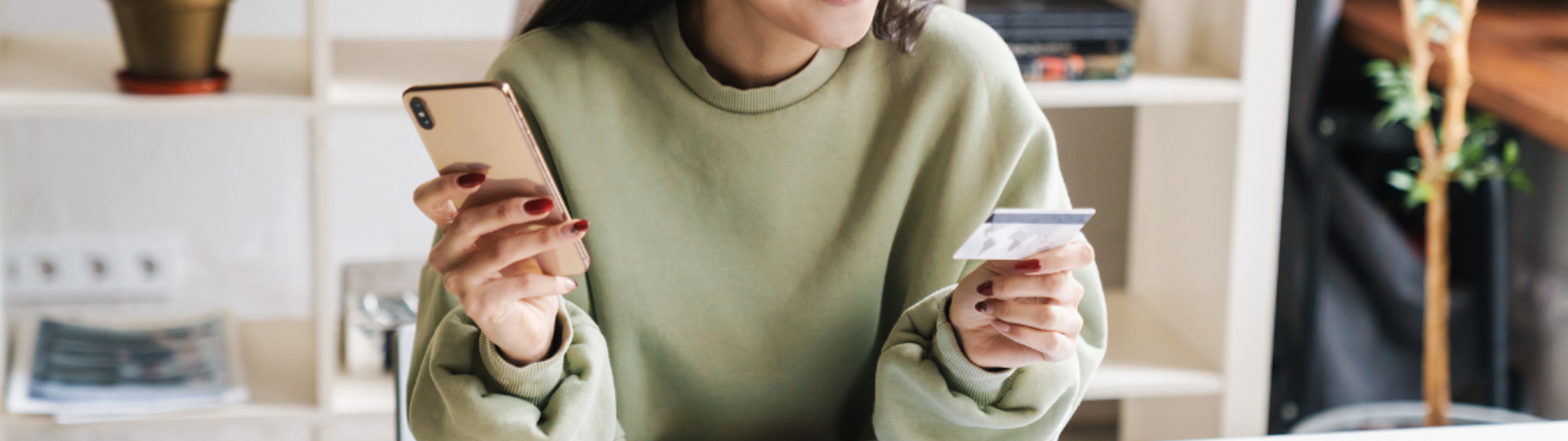 Consumer Online Payment Webshop