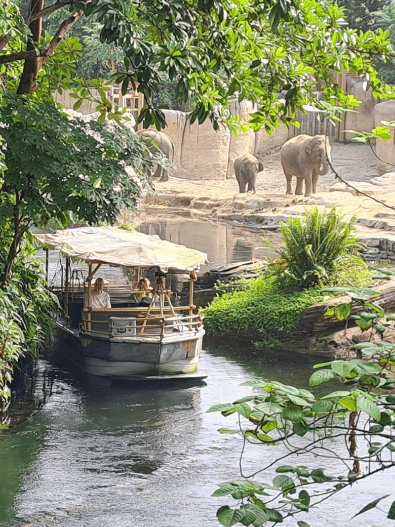 Ghout Webshop - iDeal betalingen accepteren - Buckaroo