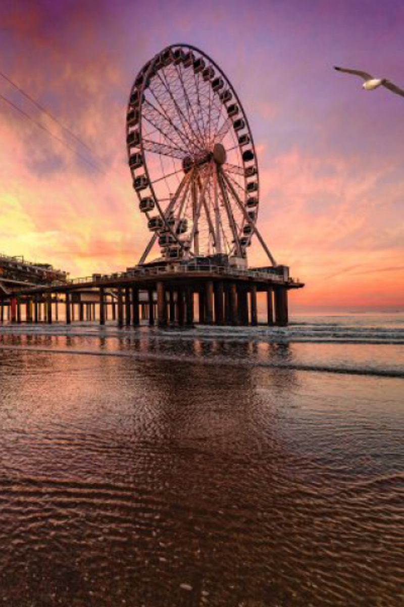 SEPAY by Buckaroo - Terminaux de paiement 